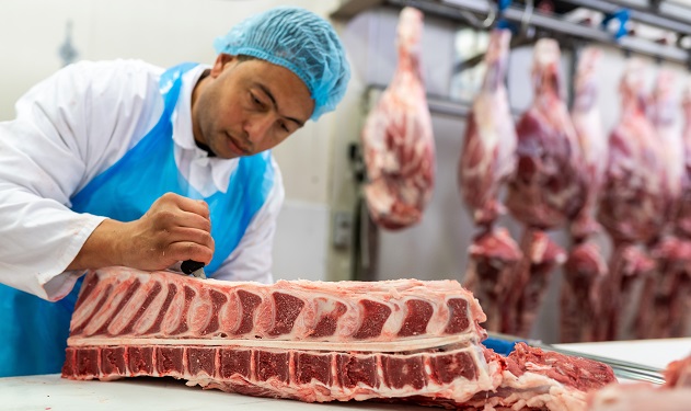 HVO Meat processing